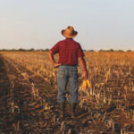 Farmer Farmer